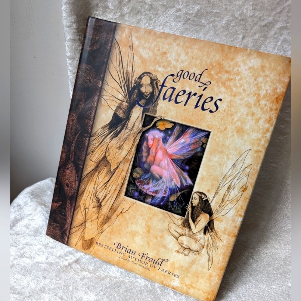 Good And Bad Faeries Artist Illustration And Science Book Brian Froud